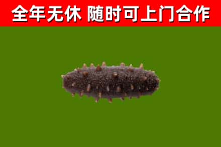 海林市烟酒回收干海参.jpg